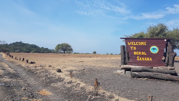Baluran National Park 2
