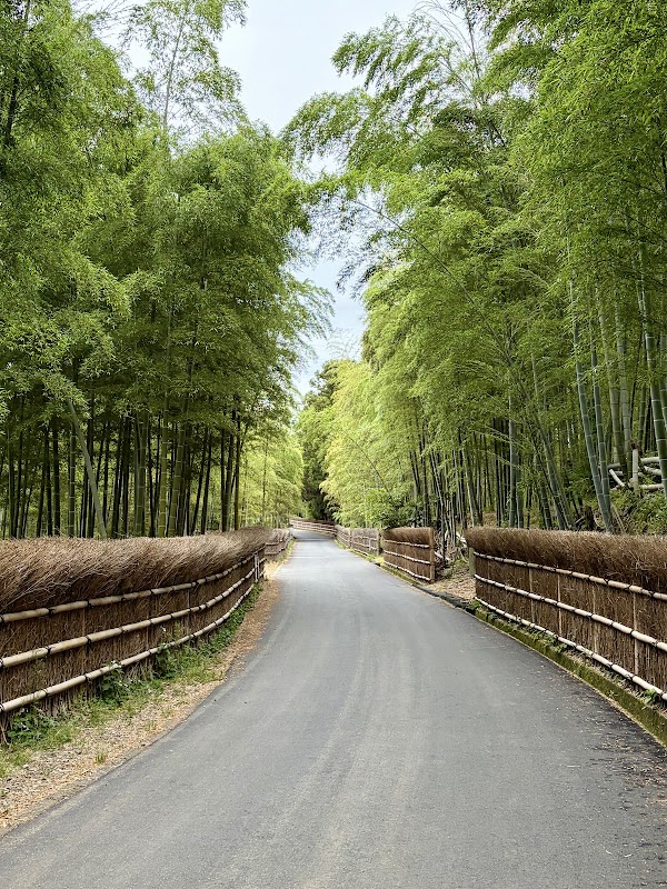 Take-no-Michi (Muko bamboo path)