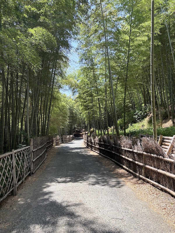 Take-no-Michi (Muko bamboo path) 2