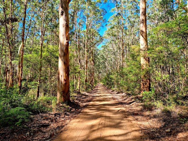 Boranup Drive