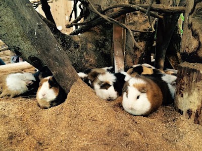 Nagasaki Bio Park