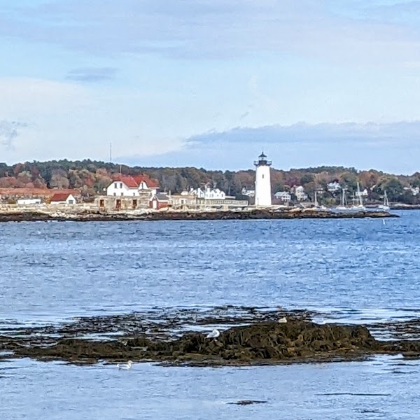 Great Island Common 1