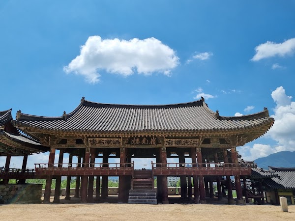 Cherry Blossom 🌸 43