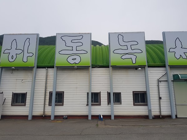 Institute of Hadong Green Tea 1
