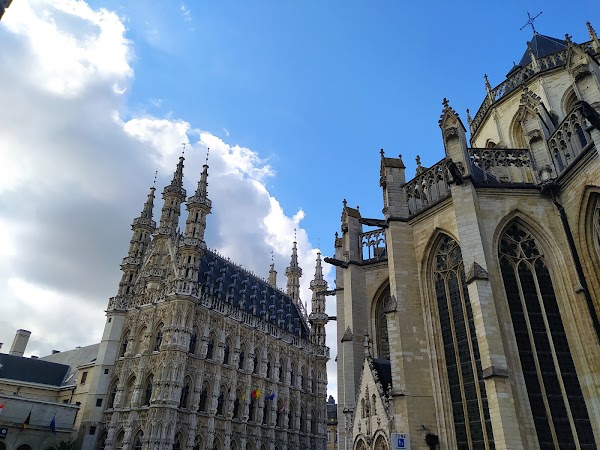Leuven 5