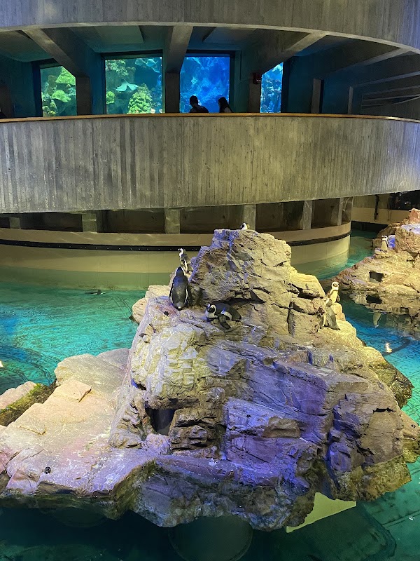 New England Aquarium 4