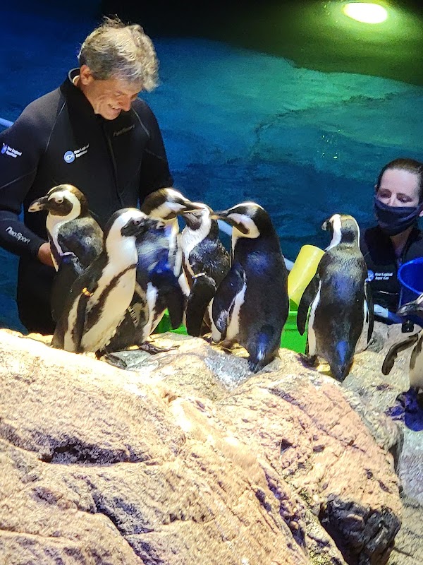New England Aquarium 2