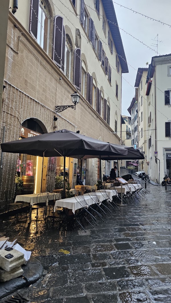 Le Volpi e l'Uva 2