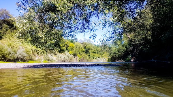 Russian River 5