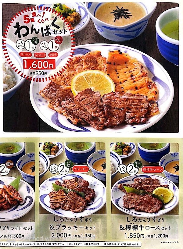 Negishi 3