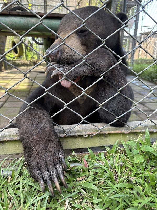 Bali Wildlife Rescue Centre, Friends of the Nature, People, and Forest 5