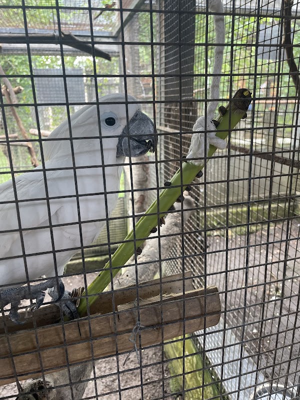 Bali Wildlife Rescue Centre, Friends of the Nature, People, and Forest 4