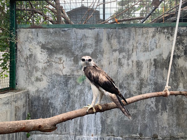 Bali Wildlife Rescue Centre, Friends of the Nature, People, and Forest 2