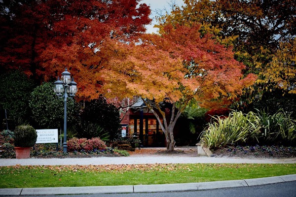De Bortoli Wines Yarra Valley Cellar Door and Restaurant 1