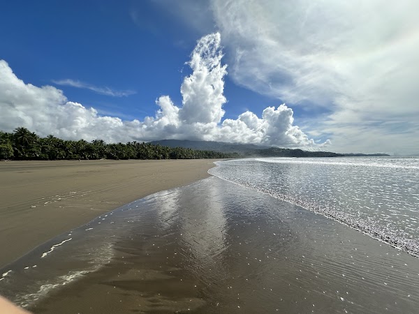 Parque Nacional Marino Ballena 2