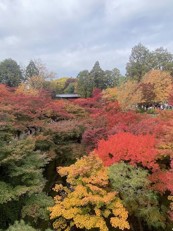 Tofuku-ji Tsutenkyo Bridge 1