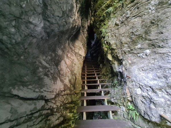Pokljuka Gorge