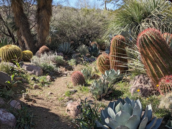 Boyce Thompson Arboretum
