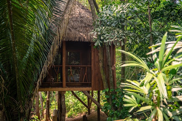 Sweet Songs Jungle Lodge, a Muy'Ono Resort