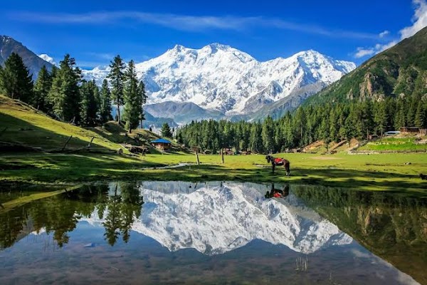 Nanga Parbat
