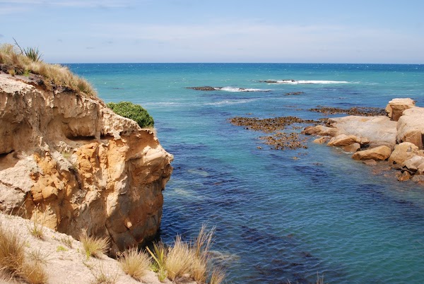 Shag Point