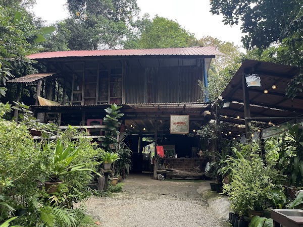 K(an)opi Coffee 4