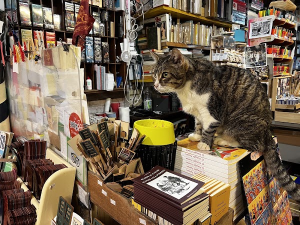 Libreria Acqua Alta 4