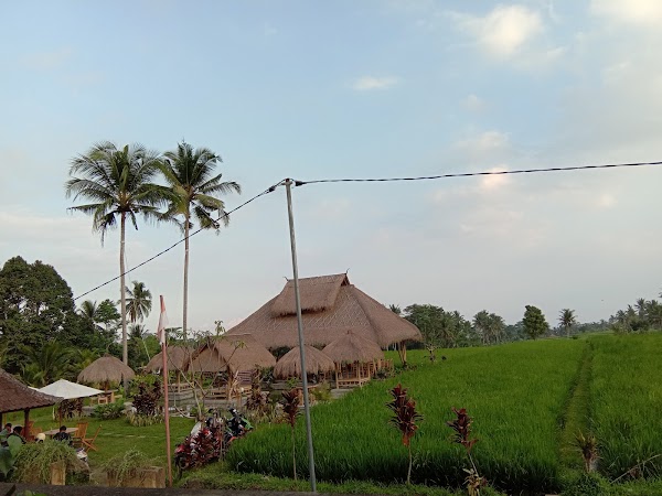 Paon Kuning Waterfall 5