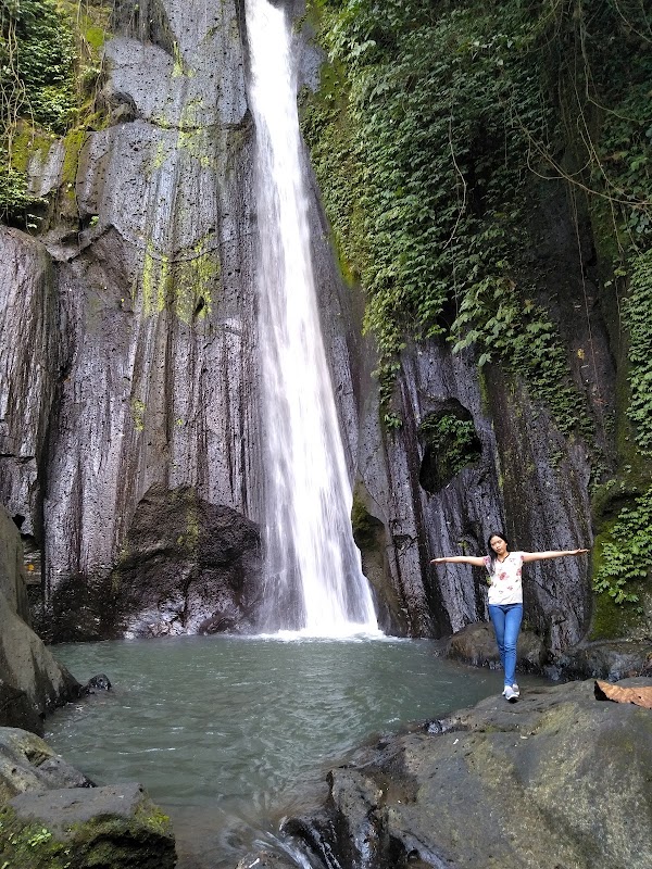 Paon Kuning Waterfall 4