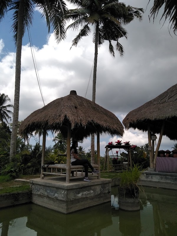 Paon Kuning Waterfall 3