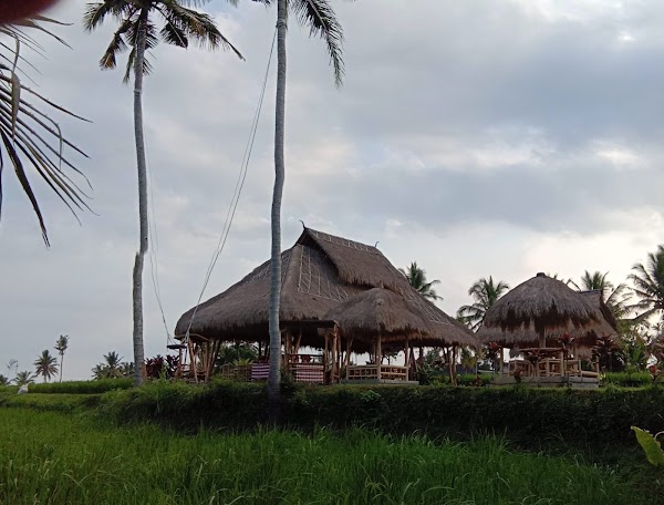 Paon Kuning Waterfall 2