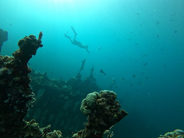Irako Shipwreck
