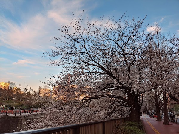 Naka-Meguro Park 5