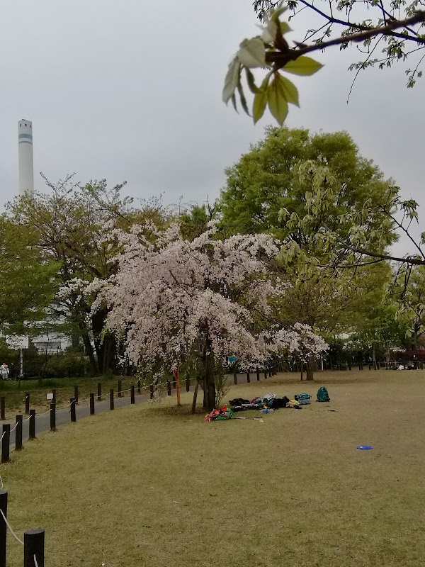 Naka-Meguro Park 4