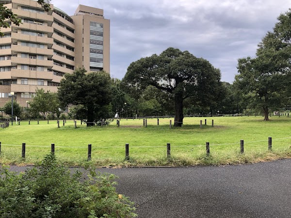 Naka-Meguro Park 3