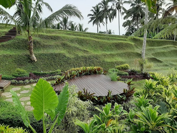 Secret Garden Village 2