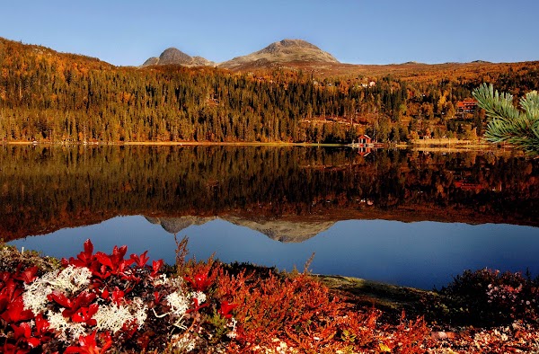 Norge 19
