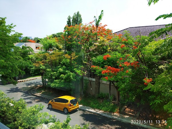White Plains 4