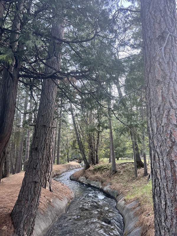 The Ditch & Flumes