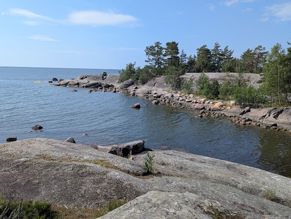 Pihlajasaari 5
