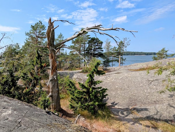 Pihlajasaari 3