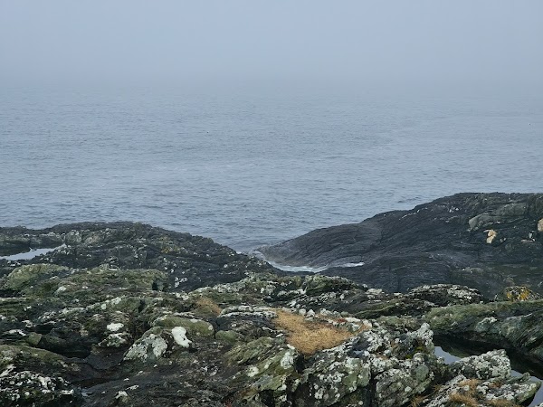 Kvalen fyr 3