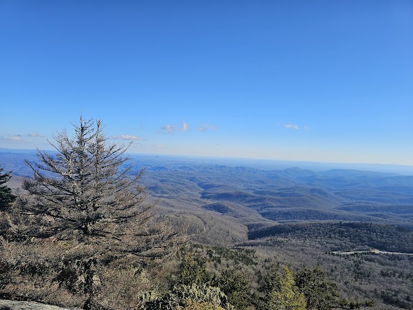 North Carolina 8