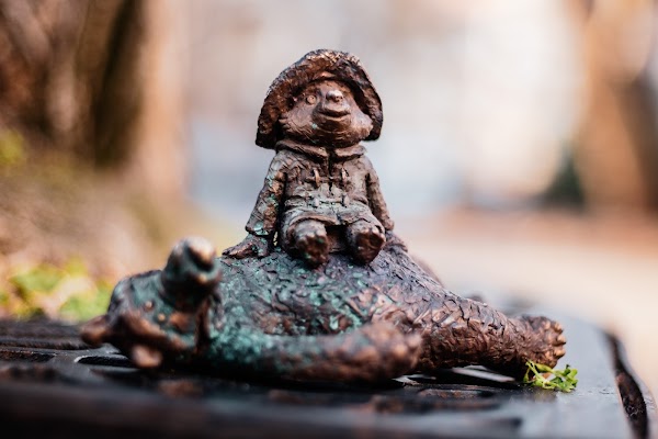 Kolodko: Paddington és Mása medvéje 5