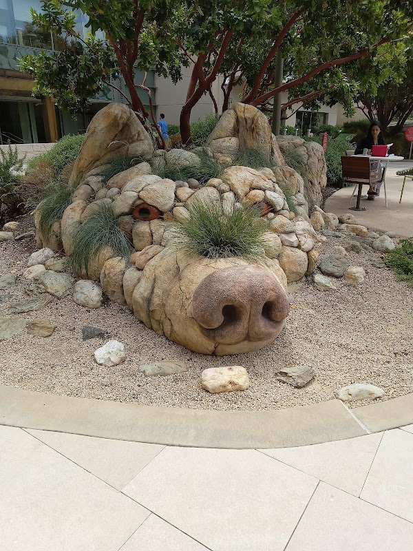 Lucile Packard Children's Hospital Stanford 2
