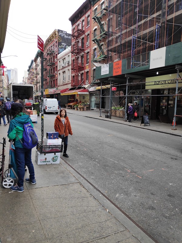 Elizabeth Street 5