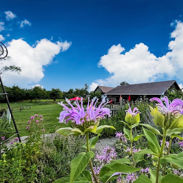 Applewood Winery