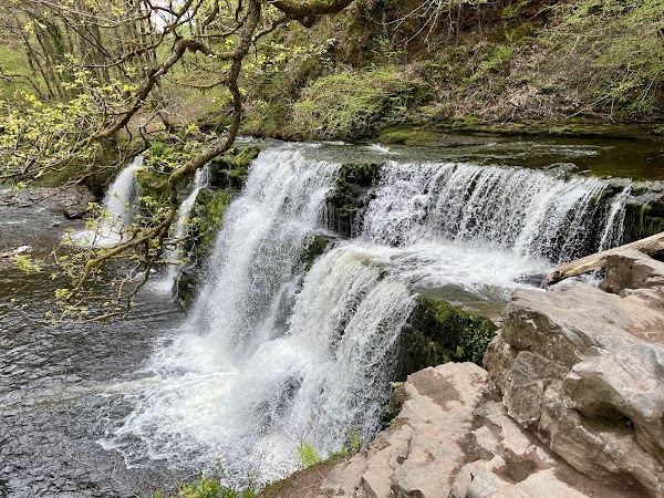 Wales 50