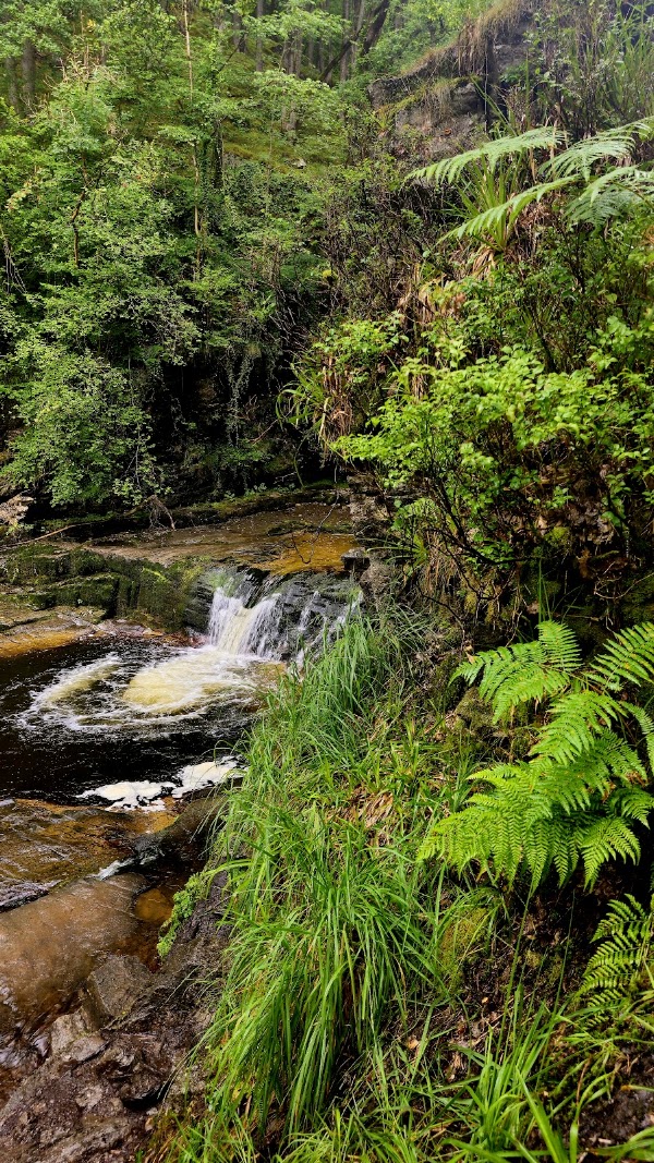 Four Waterfalls Walk 2