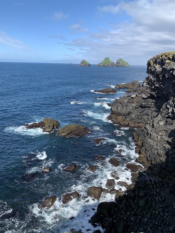 Beautiful Puffin and Shore View